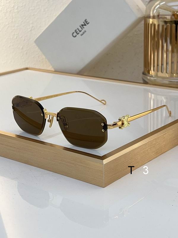 Celine Sunglasses ID:20240804-37